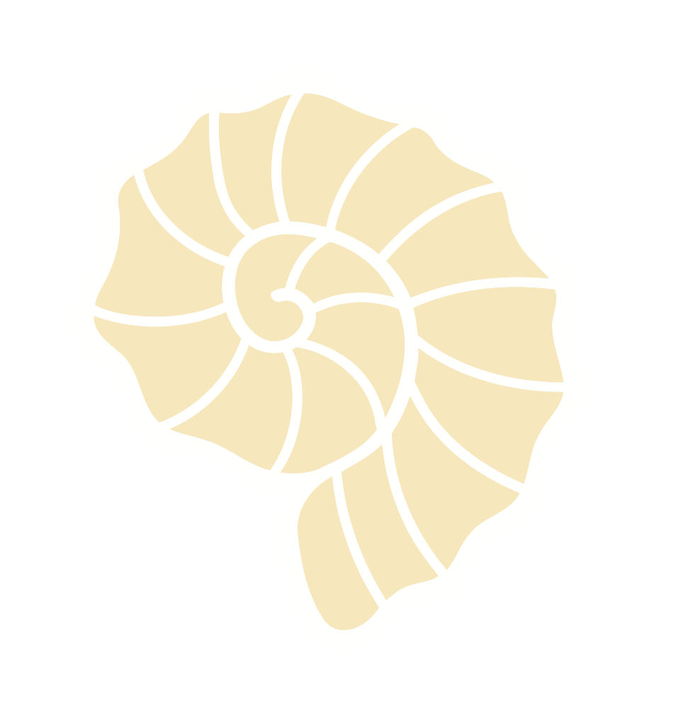 Nautilus Shell