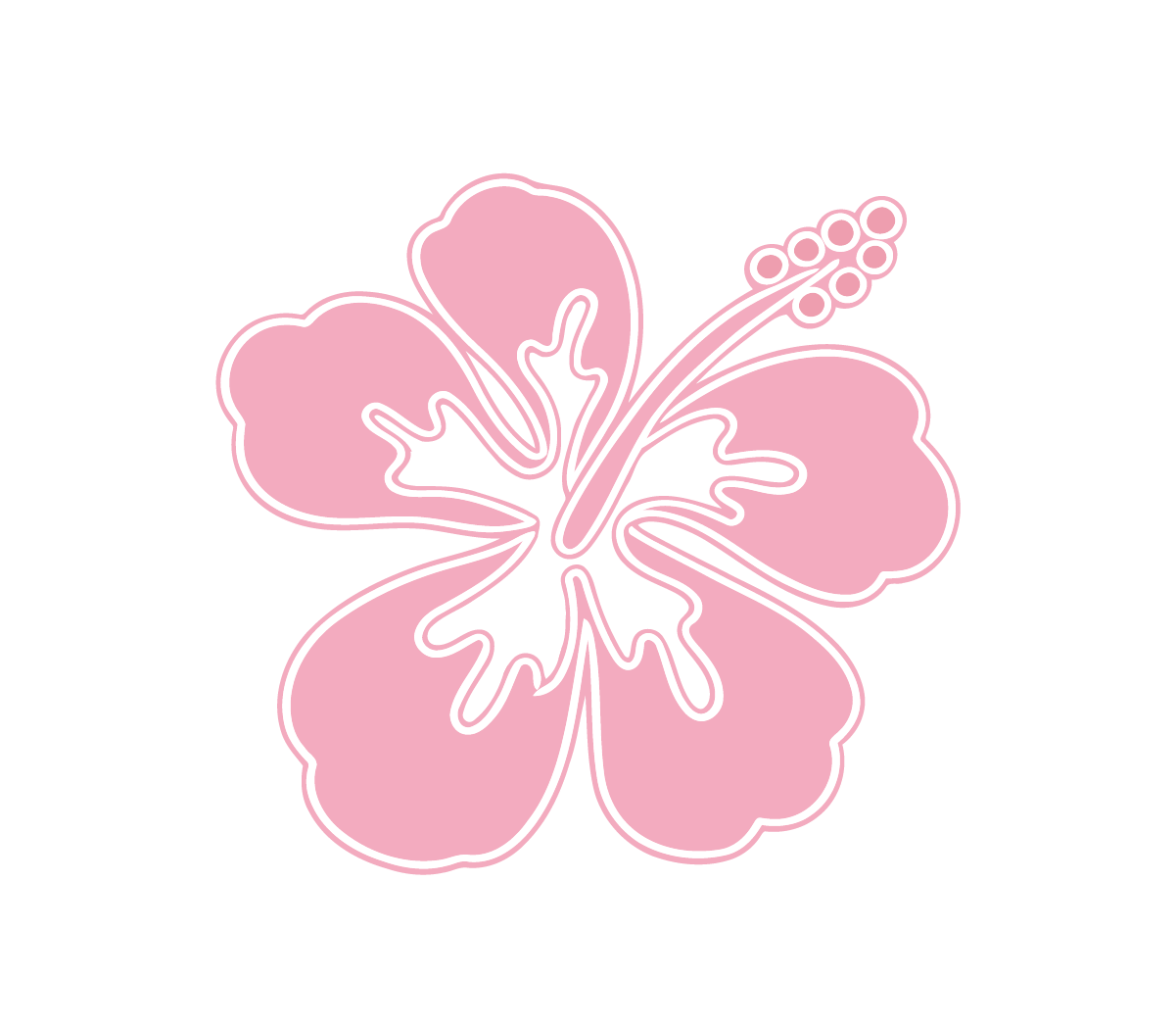 Pink Hibiscus Flower Patch