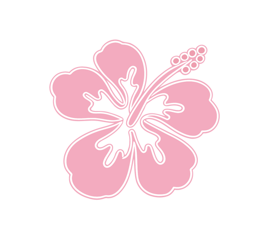 Pink Hibiscus Flower Patch