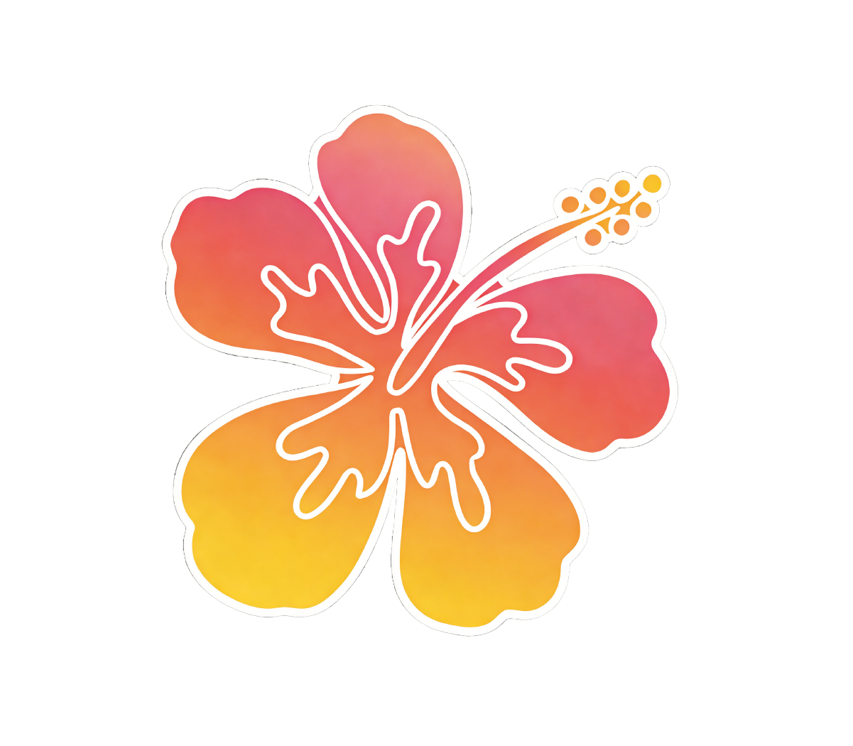 Orange Hibiscus Flower Patch