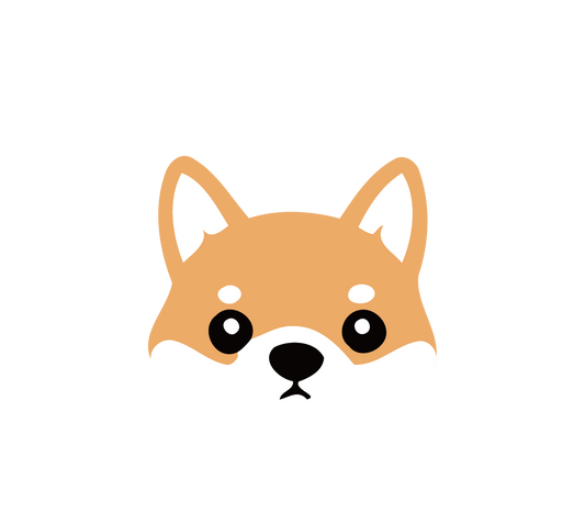 Yellow Hibiscus Flower Patch