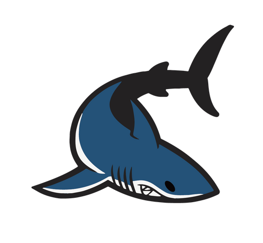 Blue Shark