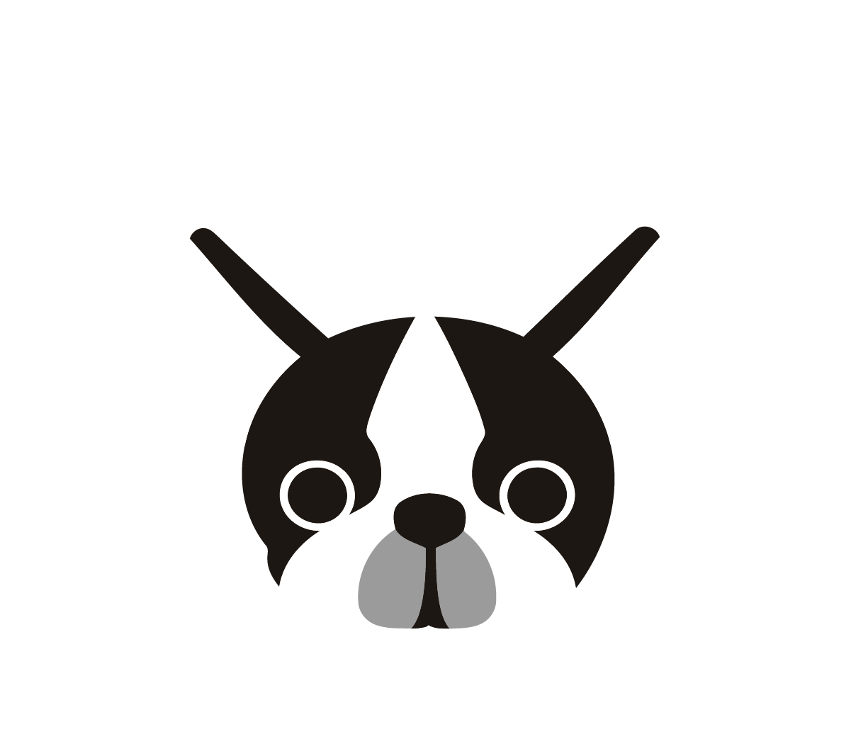 Boston Terrier Face Patch