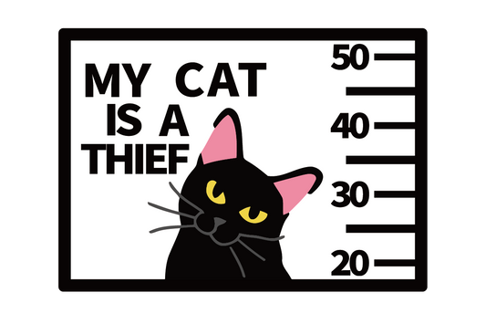 My Cat Is A Thief