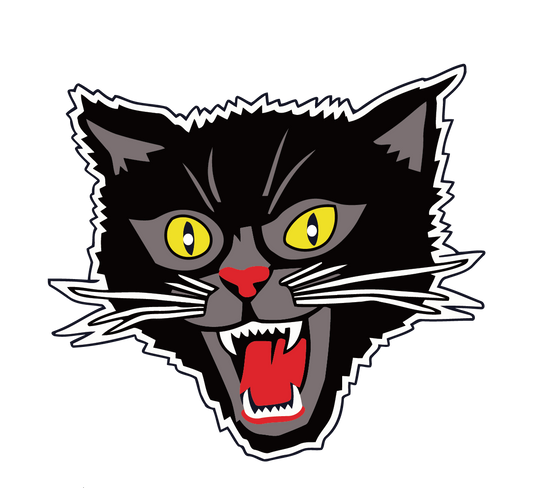 Hissing Black Cat