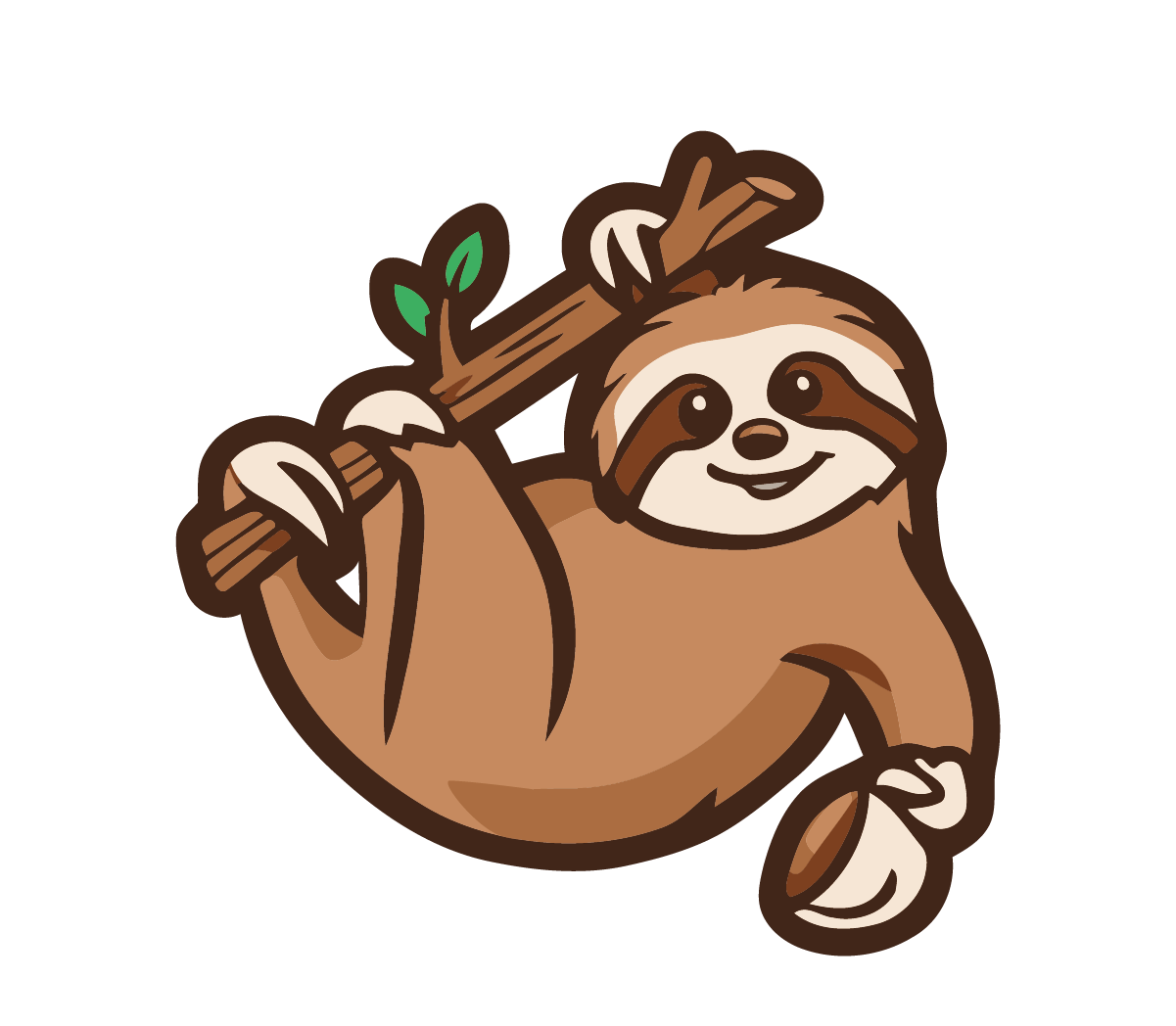 Cute Sloth