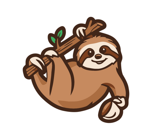 Cute Sloth