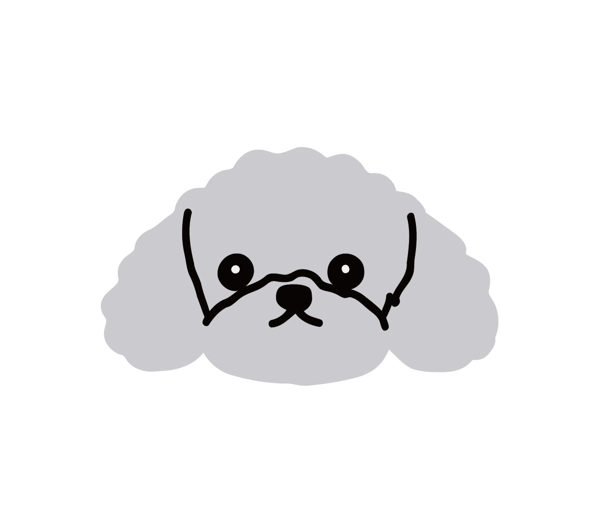 Gray Poodle with Bow Patch