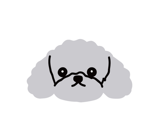 Gray Poodle with Bow Patch